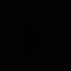 Meet your Posher, Carley